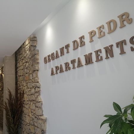 Gegant De Pedra Apartaments Adzaneta Екстериор снимка
