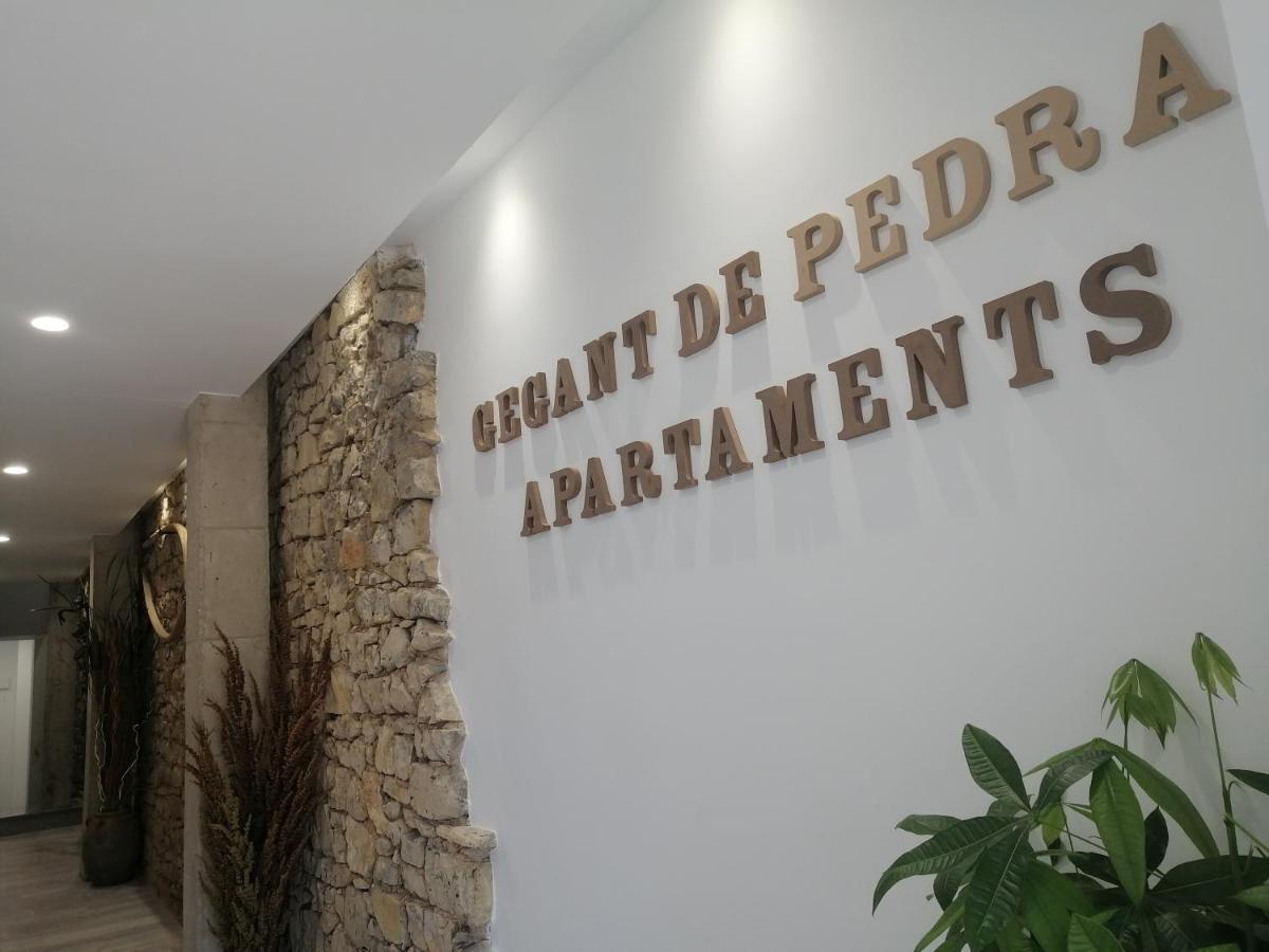 Gegant De Pedra Apartaments Adzaneta Екстериор снимка
